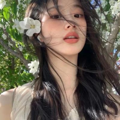梅花档案